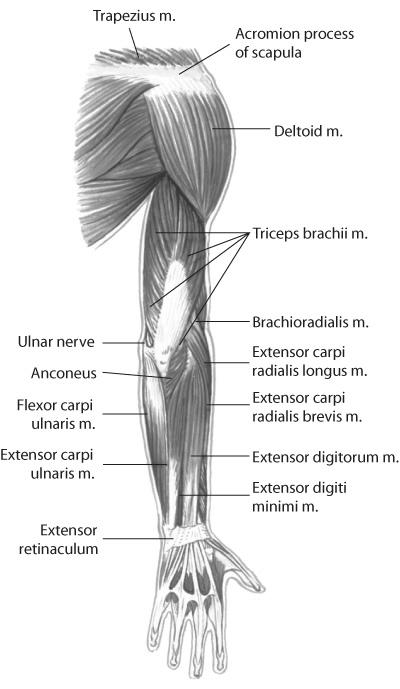 Shoulder, Arm or Hand Impairment – Disability Work Tools